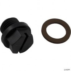Drain Plug with Gasket
