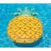 Giant Pineapple Float 