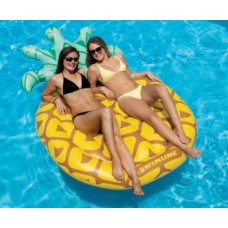 Giant Pineapple Float 