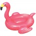Giant Flamingo